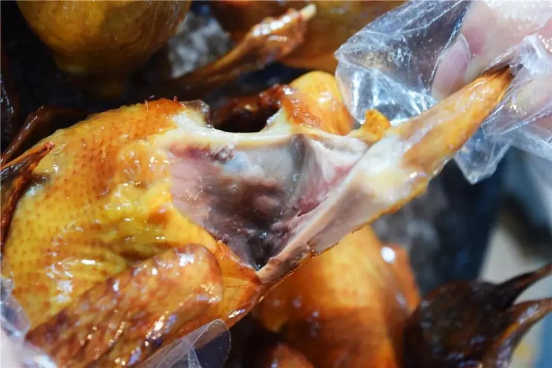 白切乳鸽