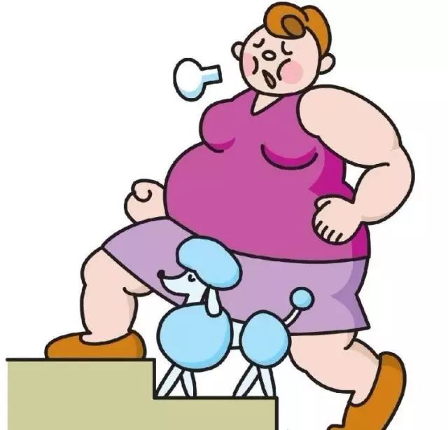 減肥手術多少錢_手術減肥_減肥手術是怎么做的