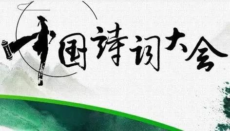 洞见丨再看《中国诗词大会》:文化传承在互联网中的新机遇