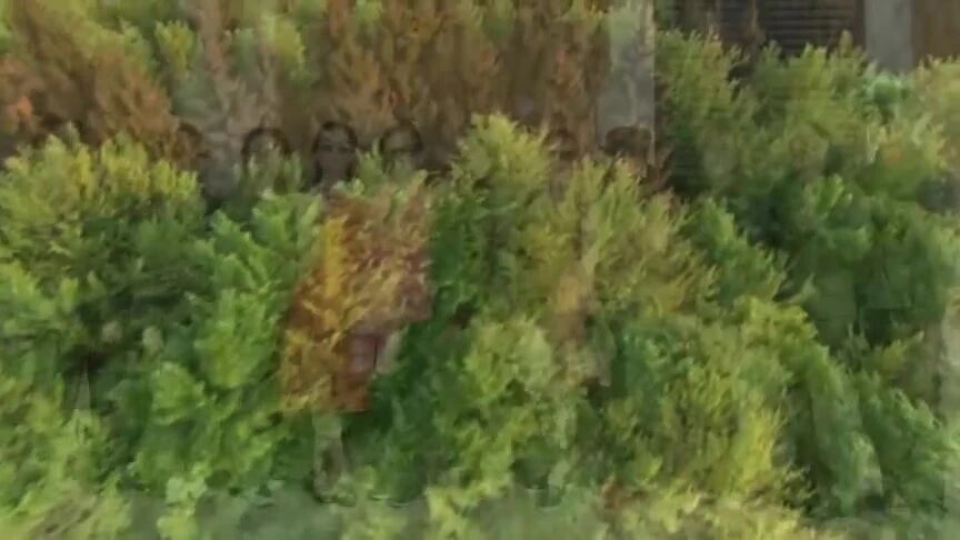 收录于合集⭐小提琴曲《我们远去的芳华》，致敬青春，怀念我们远去的岁月！