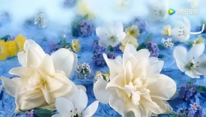 收录于合集⭐让世界倾听我们的声音《茉莉花》