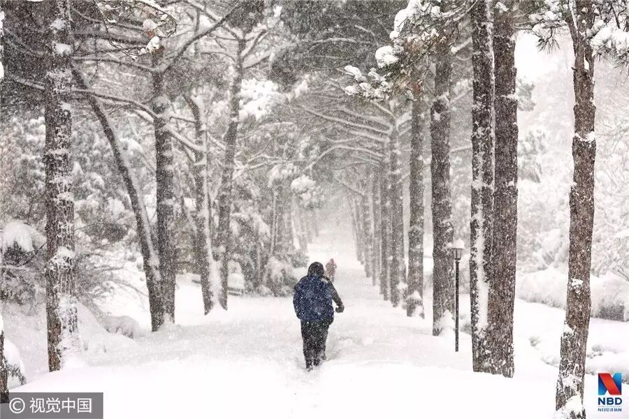 曾是金字塔顶端的行业 如今有员工年终奖才1.5元