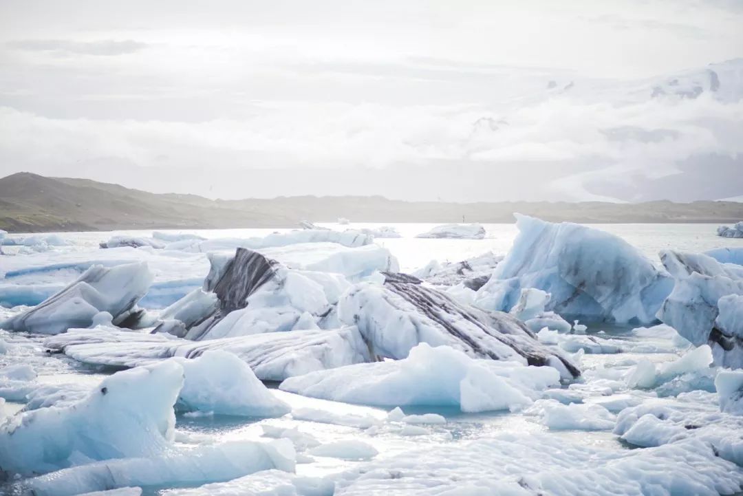 北极高达32℃,北极熊频繁淹死,下一个灭亡的就是