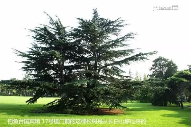 揭开钓鱼台国宾馆神秘的面纱