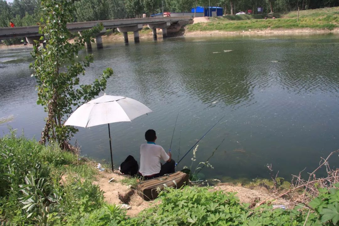 杞县柿园图片
