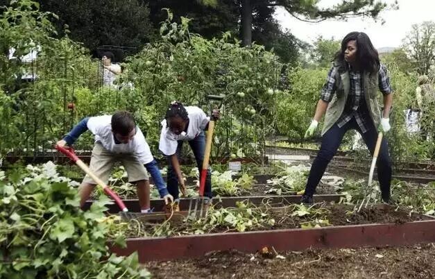 川普的白宫岁月 或许会是他这辈子最苦的日子……