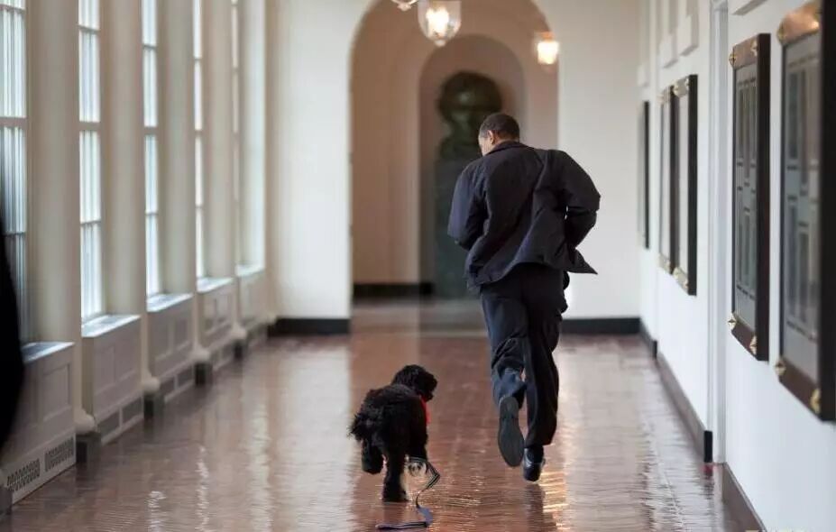 川普的白宫岁月 或许会是他这辈子最苦的日子……