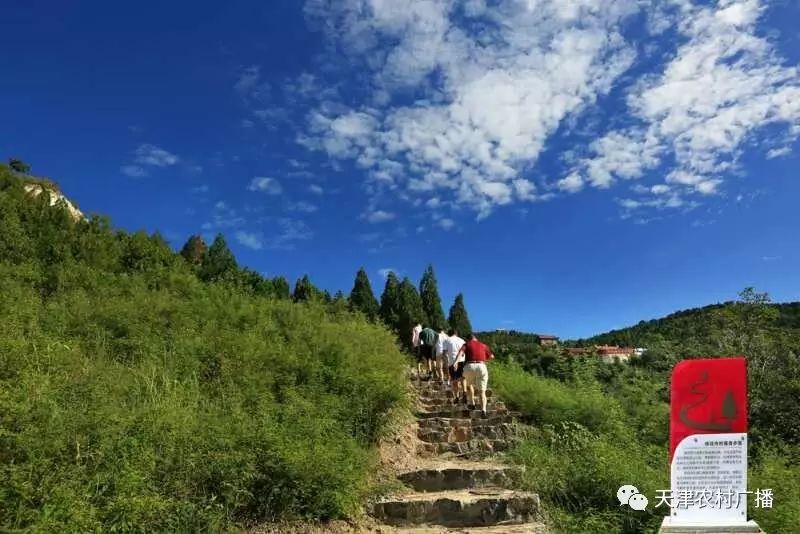 农家乐|桃花山上登高望远 拥抱健康