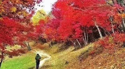 10月2号3号雪村,溪谷瀑布谷,珍珠小溪谷,拍摄红叶美景,休闲摄影二日游.