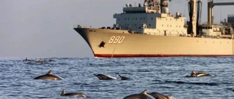 海豚伴航中国军舰，画面太美！