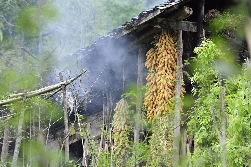 探訪雲端上的村莊，穿越天上人間 科技 第21張