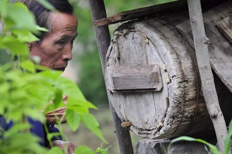 探訪雲端上的村莊，穿越天上人間 科技 第23張