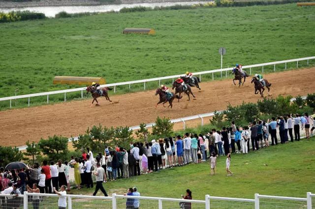 这座塞上小城，为什么得到总书记点赞？