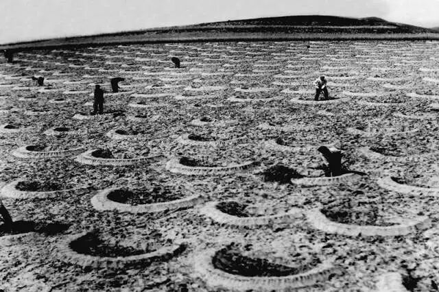 这座塞上小城，为什么得到总书记点赞？