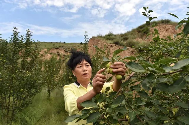 这座塞上小城，为什么得到总书记点赞？