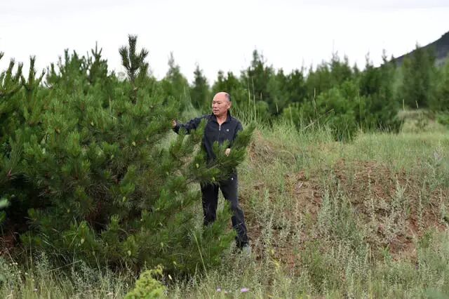 这座塞上小城，为什么得到总书记点赞？