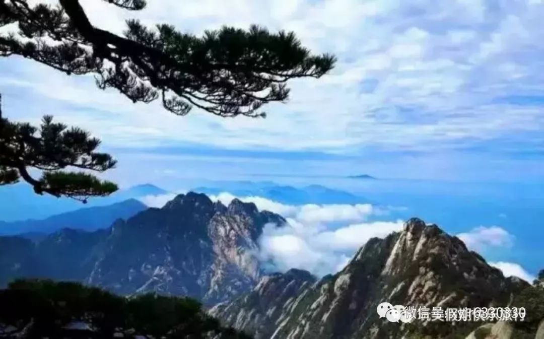 (府都花园v花园百事通旅行社清明节发团计划)铜川自驾旅游攻略图片