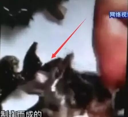 紫菜是废旧塑料袋做的？紫菜蛋花汤还能喝吗？专家给你答案