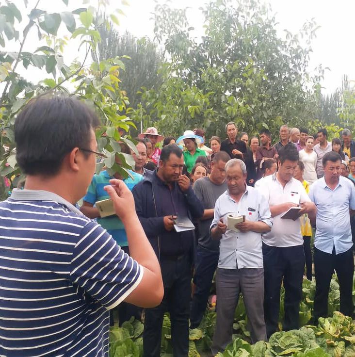 【脱贫攻坚在行动】特色种植再显成效—土豆种植喜获丰收