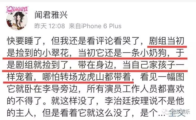 李治廷片场收养的流浪狗被车撞死,键盘侠骂活该,这个世界怎么了?