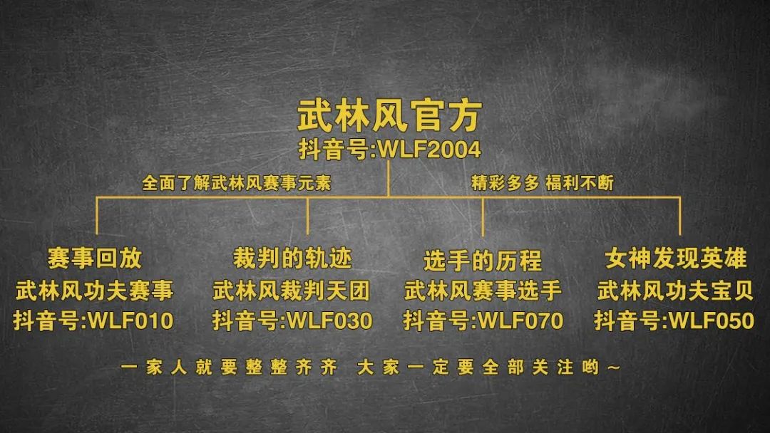 武林风本月对阵全公布贾奥奇魏锐领衔全明星阵容出战