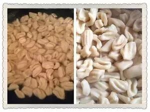 舌尖意面-炒猫耳朵面