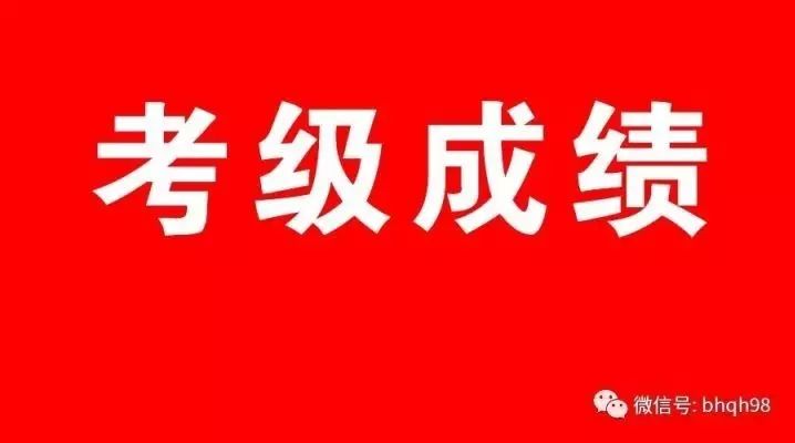 2017年中国音乐家协会——西乐类考级成绩发布