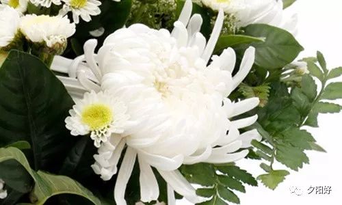 无论正在做着什么 总会忽然就想到了爸爸和妈妈.