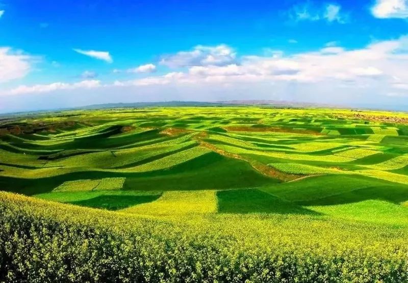 清风里 扁都口生态休闲旅游景区,简称扁都口景区,位于甘肃省民乐县东