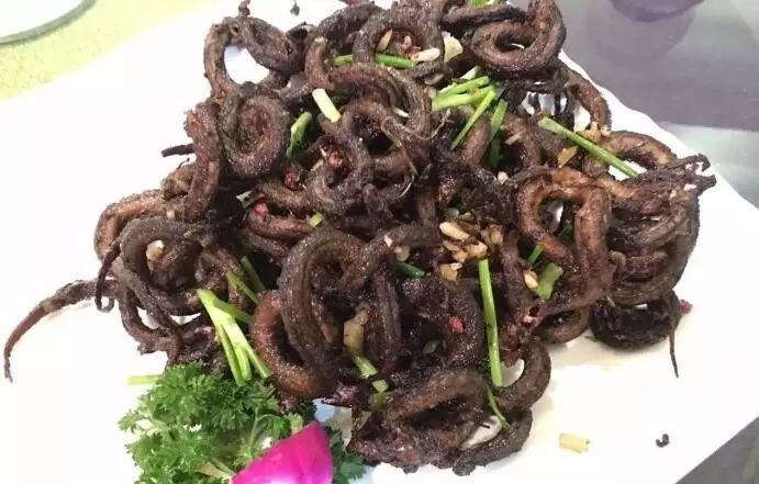 吃姑嫂丸不能吃什么_吃姑嫂丸要忌口吗_千万不要吃姑嫂丸