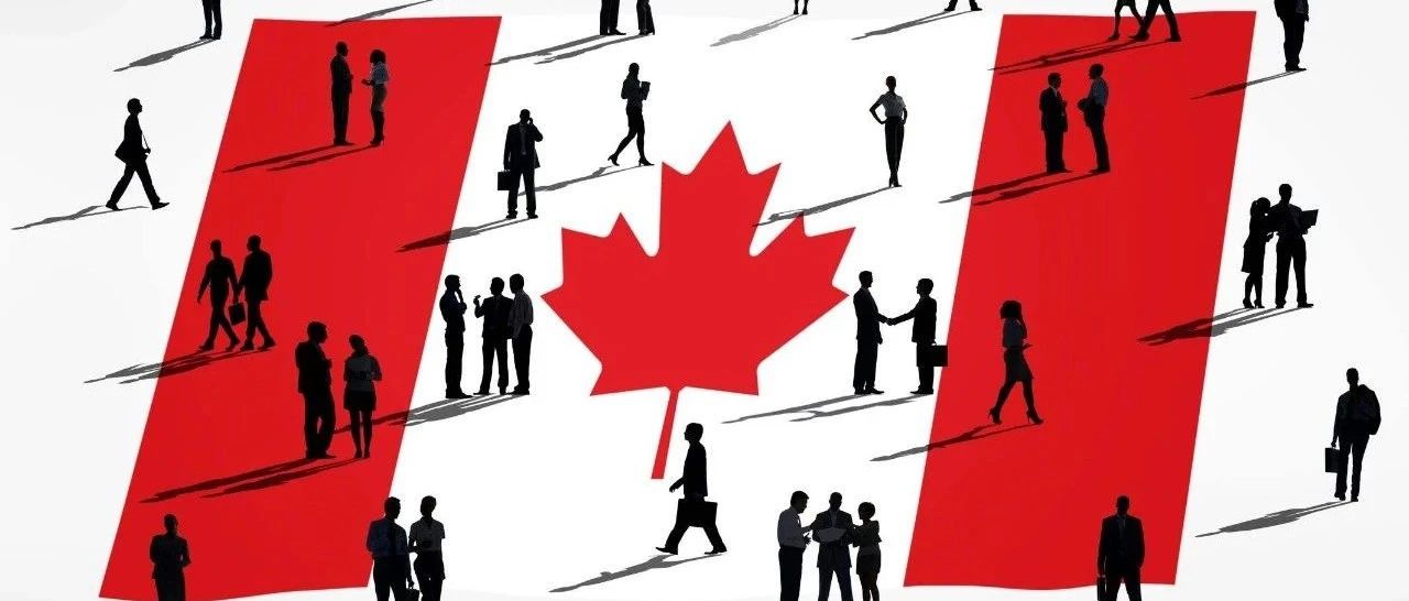 加拿大新移民有哪些具体的福利项目，该如何申请呢？