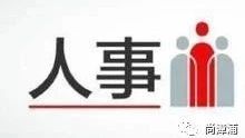 关于张延能同志任前公示的公告