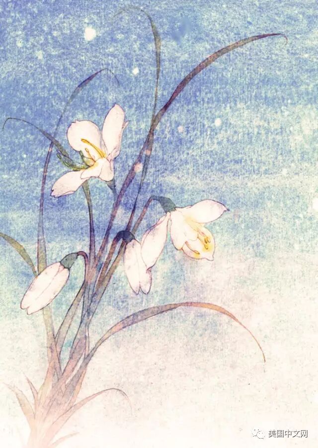 ѧܾΪһʢ磨5/12 NYU Skirball Center