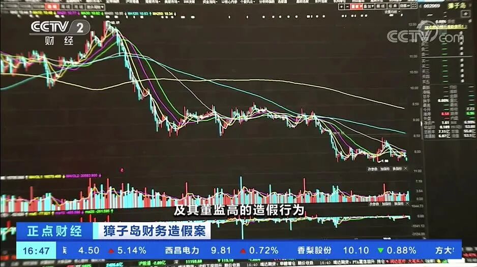 △央视财经《正点财经》栏目视频⭐刚刚，“扇贝大逃亡”真相！獐子岛董事长、高管等3人全辞职！扇贝：终于还我清白了…