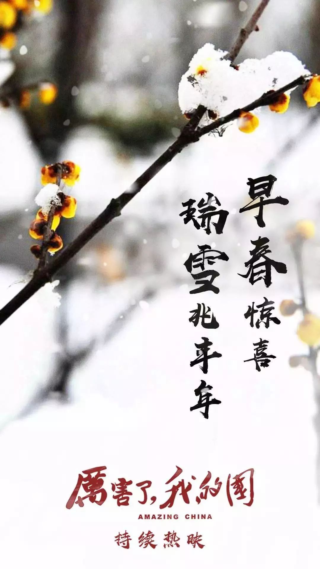 【收藏】早春惊喜,瑞雪兆丰年