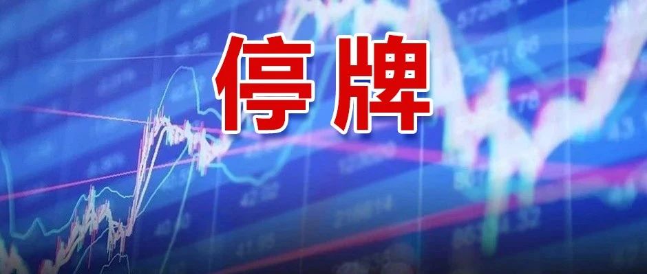 郑爽被查!这家上市公司卷入1.6亿“阴阳合同”风波被停牌!踩的雷能炸多大?