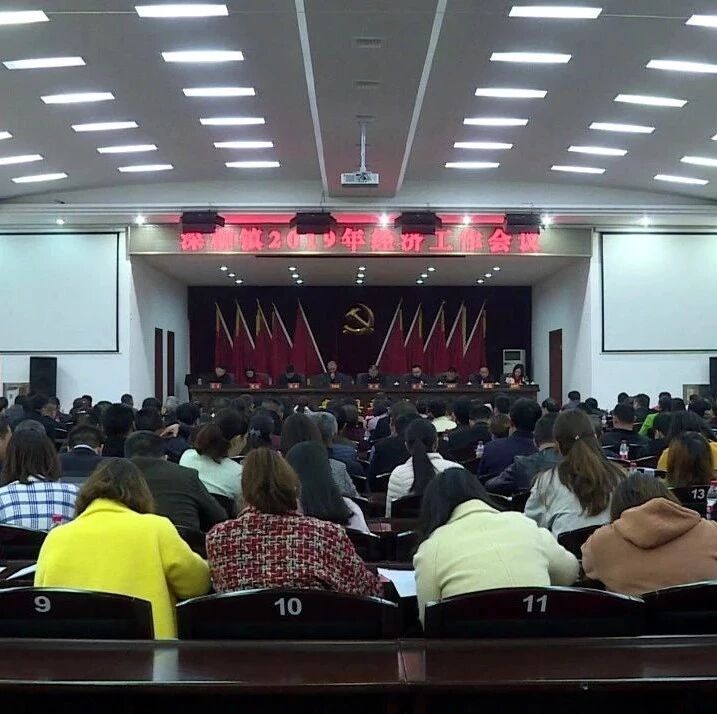 深柳镇2019年经济工作会议召开