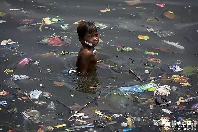 塑料危机:致数十万海洋动物死亡的污染