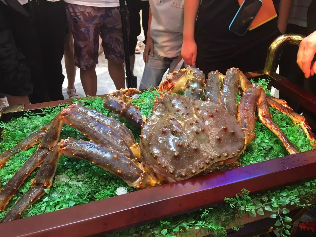 一边尬舞一边做料理你见过吗?真正的活体帝王蟹你见过吗?