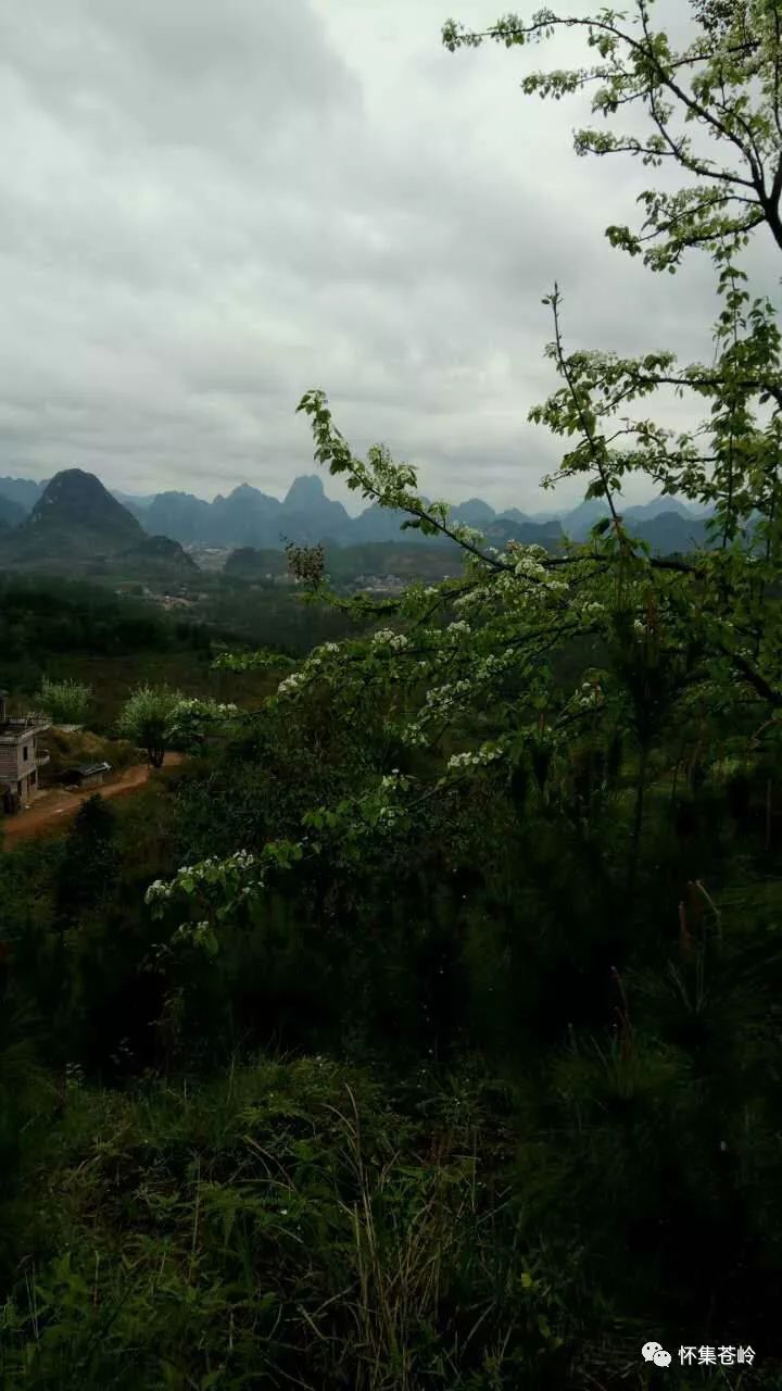 地理概况,村名由来    苍岭是怀集县永固镇下辖的一个行政村