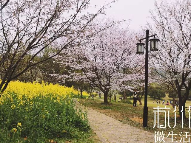 又一重磅景點落戶！橫塘的美，再也藏不住了 旅遊 第19張