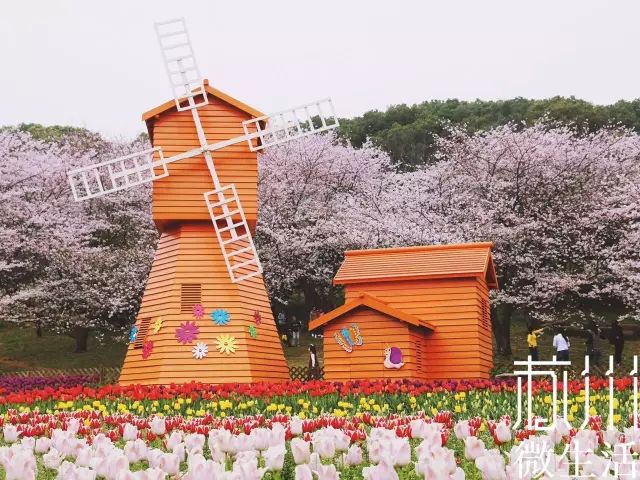 又一重磅景點落戶！橫塘的美，再也藏不住了 旅遊 第18張