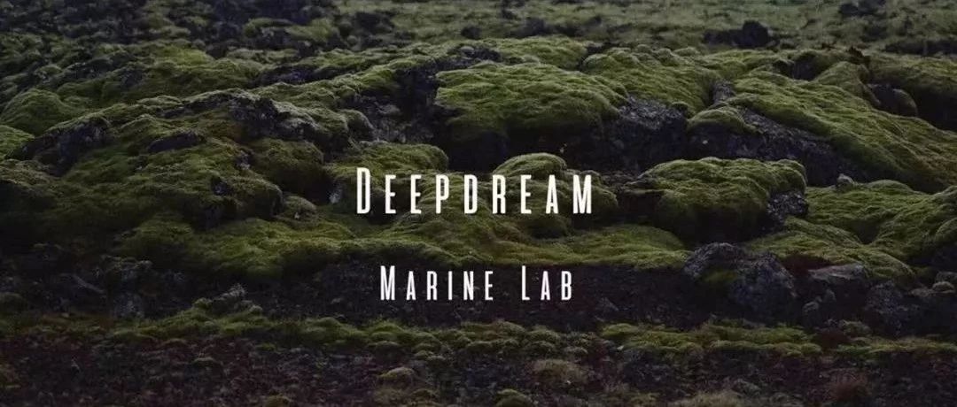 Deepdream,用电子乐维持内心的秩序