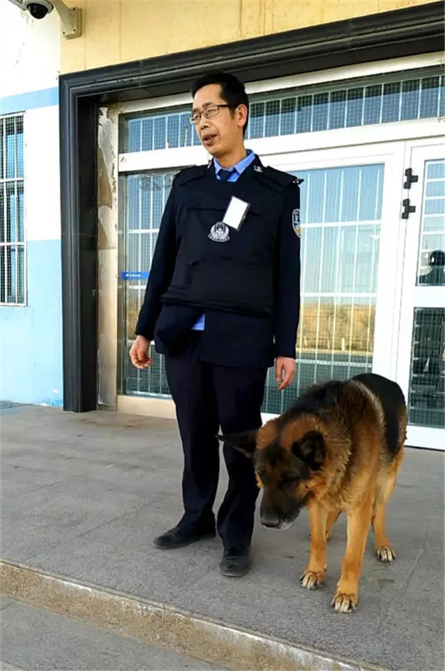 警犬卡尔,谢谢你陪着气井一直到老丨石油人的动物伙伴③