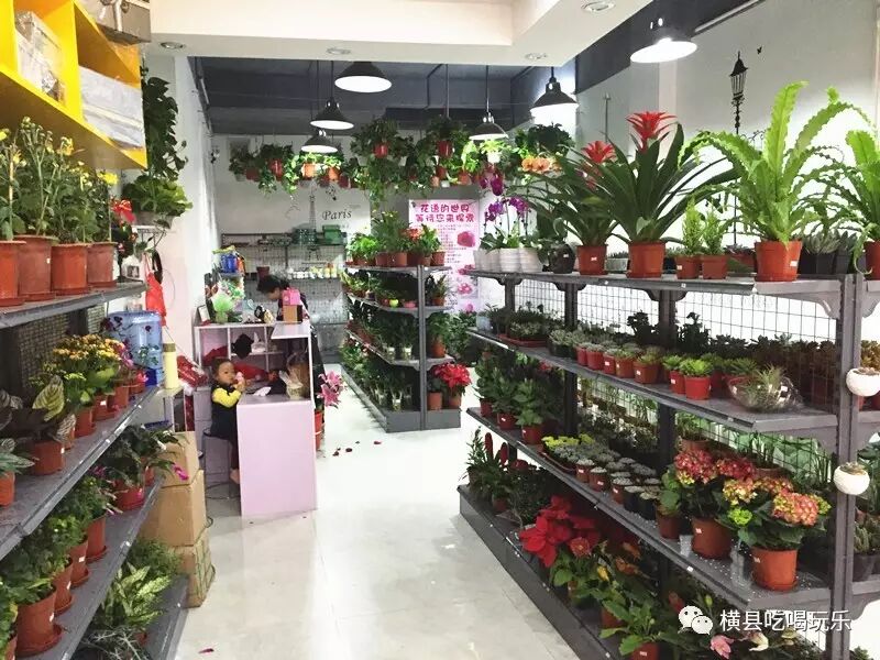 横县名花有主花艺坊即将开业!会员全场8.8折!元旦6.8折!