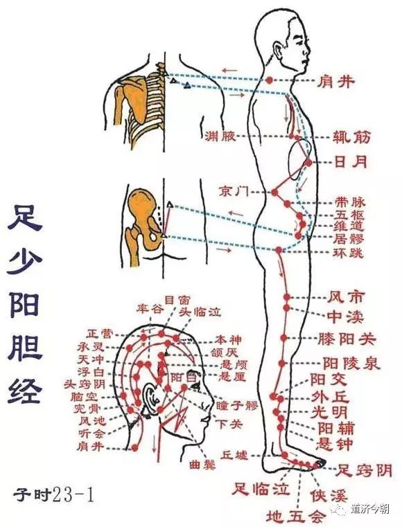 特效穴位:督脉,膀胱经,胆经,曲池穴刮至合谷穴,人迎,足二里,内关.