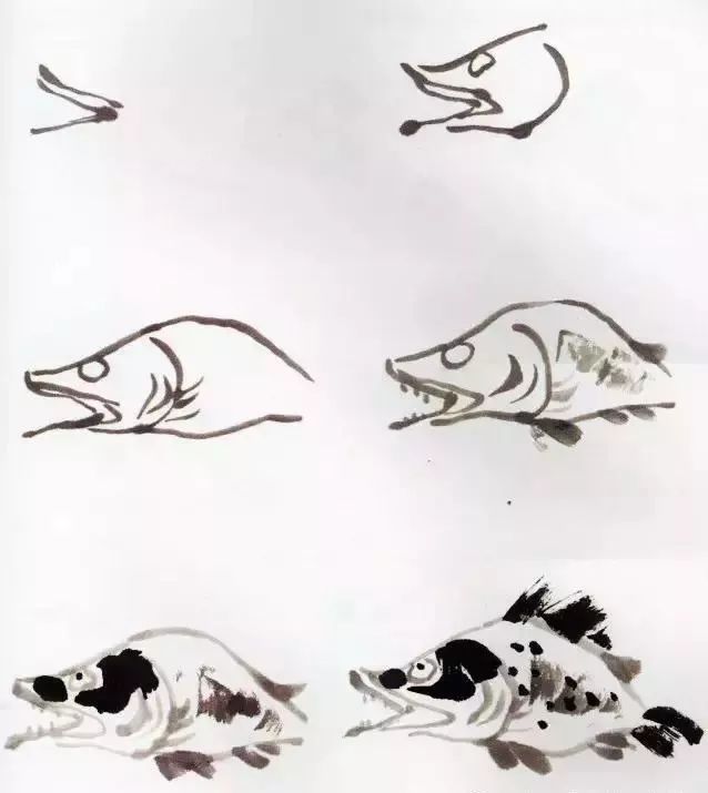 【国画】如何画写意鱼?