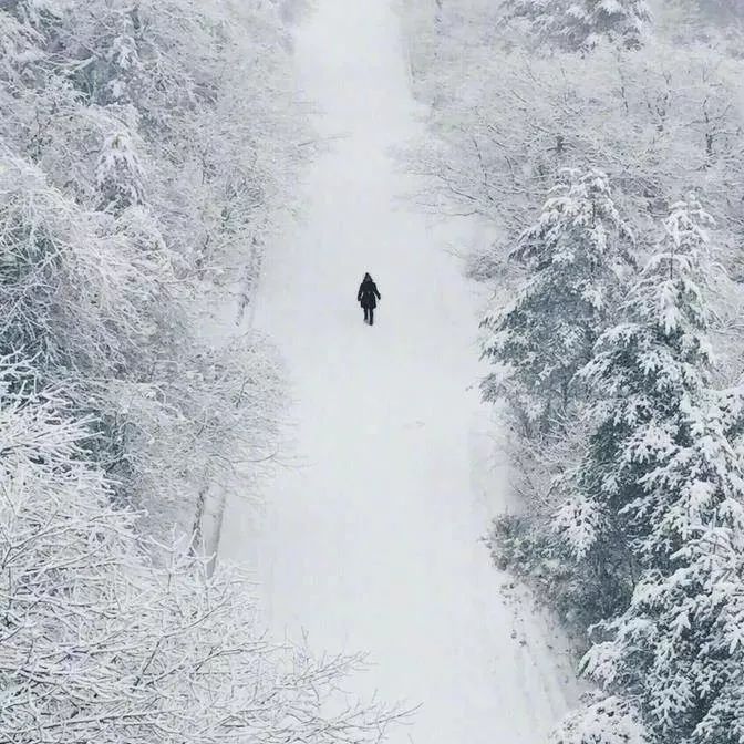 峨眉山雪中人独行,总是宁静中多那么几分禅意. ​​​​