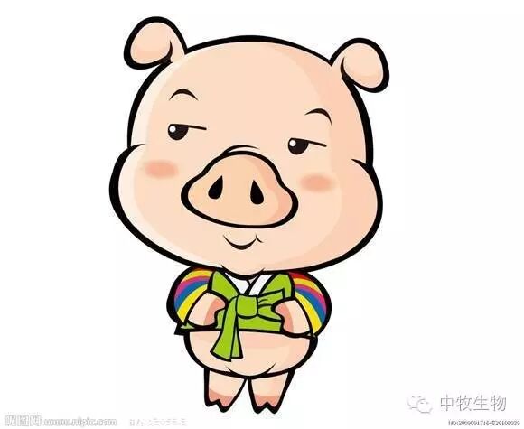 开心一刻史上最搞笑的脑筋急转弯,笑了我一个礼拜~