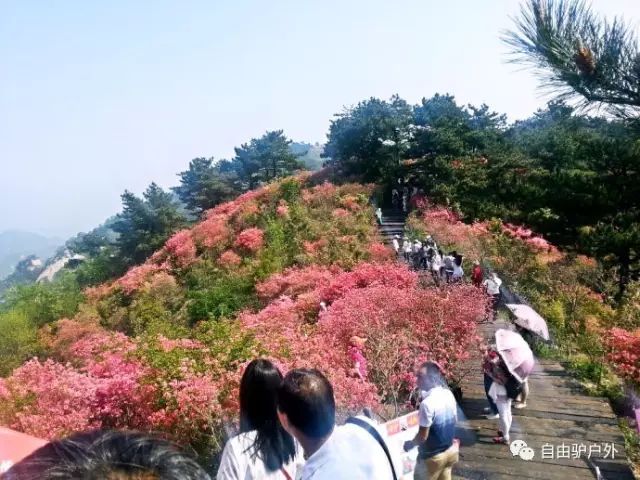点击放大